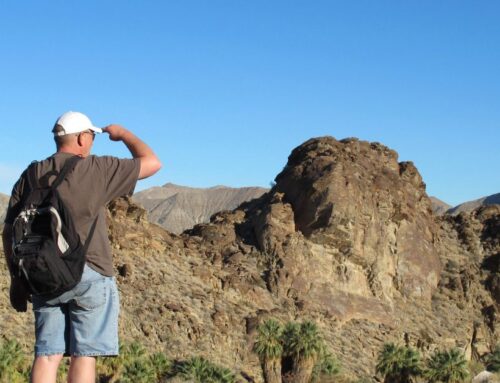 Outdoor Adventure Awaits: Exploring the Top 10 Outdoor Activities in Palm Springs, California